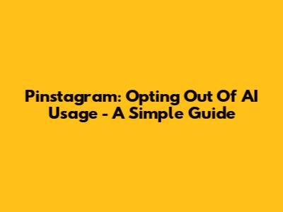 Pinstagram: Opting Out Of AI Usage - A Simple Guide