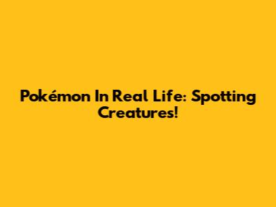 Pokémon In Real Life: Spotting Creatures!