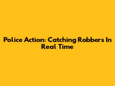 Police Action: Catching Robbers In Real Time