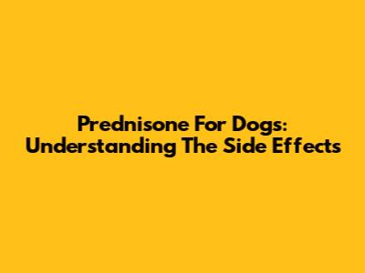 Prednisone For Dogs: Understanding The Side Effects