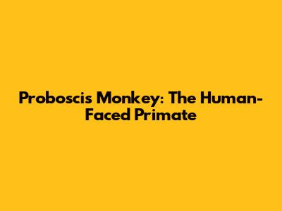Proboscis Monkey: The Human-Faced Primate