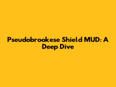 Pseudobrookese Shield MUD: A Deep Dive