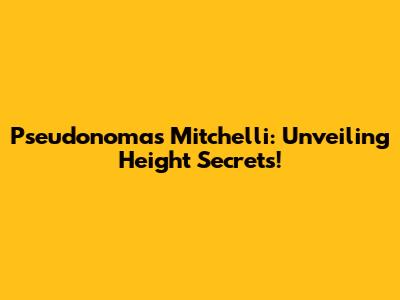 Pseudonomas Mitchelli: Unveiling Height Secrets!