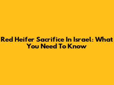 Red Heifer Sacrifice In Israel: What You Need To Know
