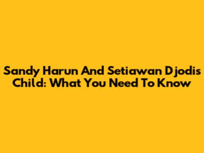 Sandy Harun And Setiawan Djodi's Child: What You Need To Know