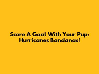Score A Goal With Your Pup: Hurricanes Bandanas!