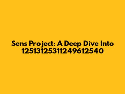 Sens Project: A Deep Dive Into 12513125311249612540