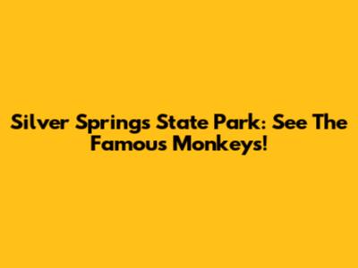 Silver Springs State Park: See The Famous Monkeys!