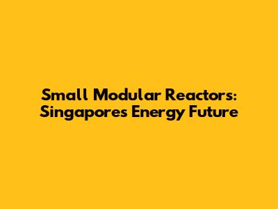 Small Modular Reactors: Singapore's Energy Future