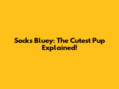 Socks Bluey: The Cutest Pup Explained!