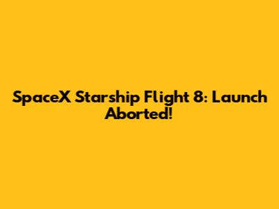 SpaceX Starship Flight 8: Launch Aborted!