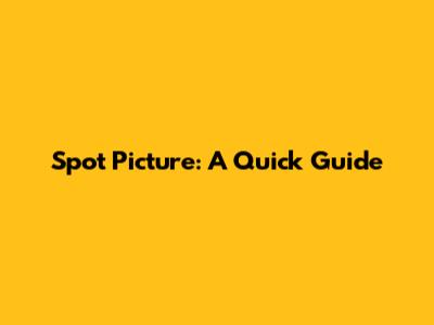Spot Picture: A Quick Guide