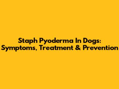Staph Pyoderma In Dogs: Symptoms, Treatment & Prevention