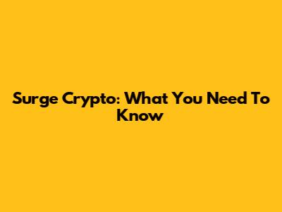 Surge Crypto: What You Need To Know