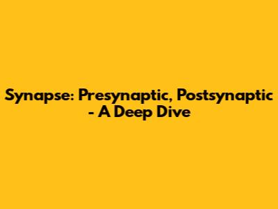 Synapse: Presynaptic, Postsynaptic - A Deep Dive