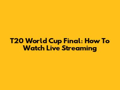 T20 World Cup Final: How To Watch Live Streaming