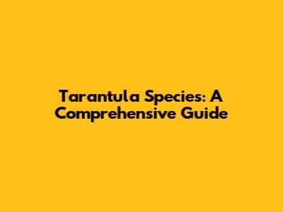 Tarantula Species: A Comprehensive Guide