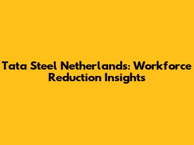 Tata Steel Netherlands: Workforce Reduction Insights