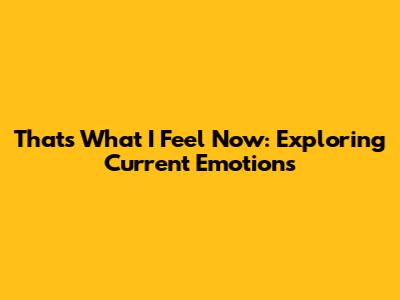 That's What I Feel Now: Exploring Current Emotions