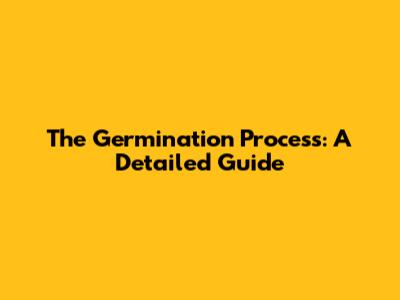 The Germination Process: A Detailed Guide