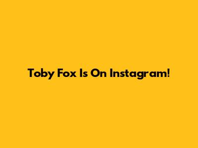 Toby Fox Is On Instagram!