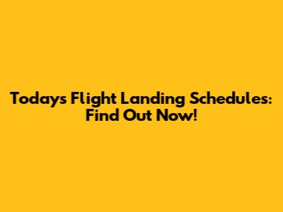 Today's Flight Landing Schedules: Find Out Now!