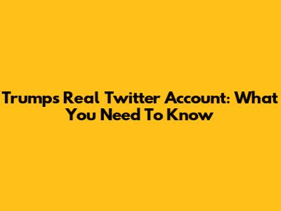 Trump's Real Twitter Account: What You Need To Know