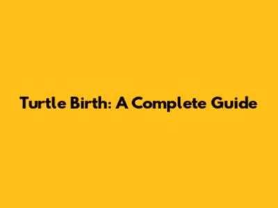 Turtle Birth: A Complete Guide