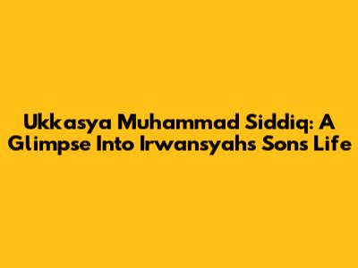 Ukkasya Muhammad Siddiq: A Glimpse Into Irwansyah's Son's Life
