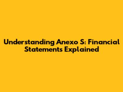 Understanding Anexo S: Financial Statements Explained