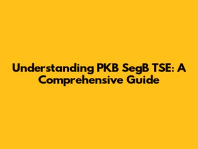 Understanding PKB SegB TSE: A Comprehensive Guide