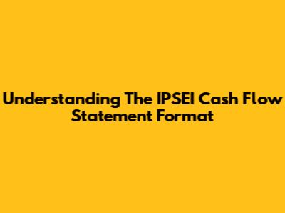 Understanding The IPSEI Cash Flow Statement Format
