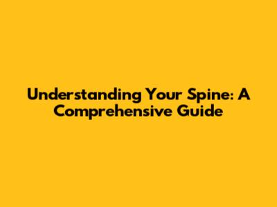 Understanding Your Spine: A Comprehensive Guide