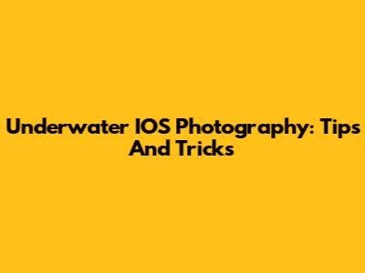 Underwater IOS Photography: Tips And Tricks