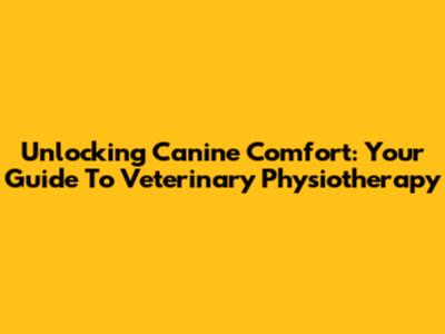 Unlocking Canine Comfort: Your Guide To Veterinary Physiotherapy