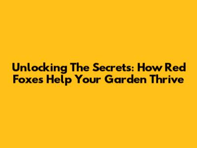 Unlocking The Secrets: How Red Foxes Help Your Garden Thrive