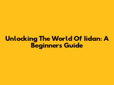 Unlocking The World Of Iidan: A Beginner's Guide