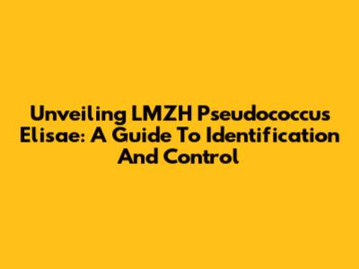 Unveiling LMZH Pseudococcus Elisae: A Guide To Identification And Control