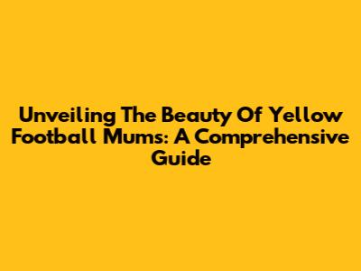 Unveiling The Beauty Of Yellow Football Mums: A Comprehensive Guide