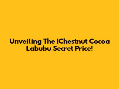 Unveiling The IChestnut Cocoa Labubu Secret Price!