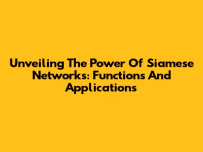 Unveiling The Power Of Siamese Networks: Functions And Applications