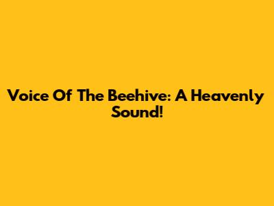 Voice Of The Beehive: A Heavenly Sound!