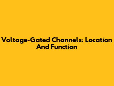 Voltage-Gated Channels: Location And Function