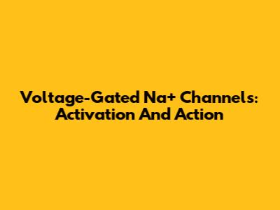Voltage-Gated Na+ Channels: Activation And Action