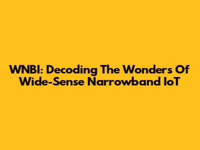 WNBI: Decoding The Wonders Of Wide-Sense Narrowband IoT