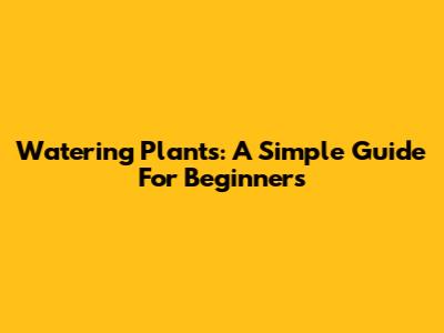 Watering Plants: A Simple Guide For Beginners