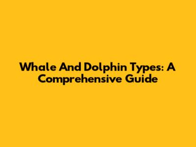Whale And Dolphin Types: A Comprehensive Guide