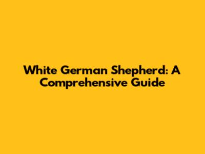 White German Shepherd: A Comprehensive Guide