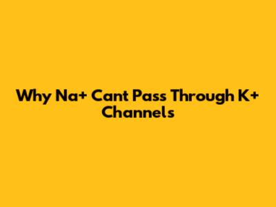 Why Na+ Can't Pass Through K+ Channels