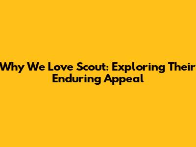 Why We Love Scout: Exploring Their Enduring Appeal